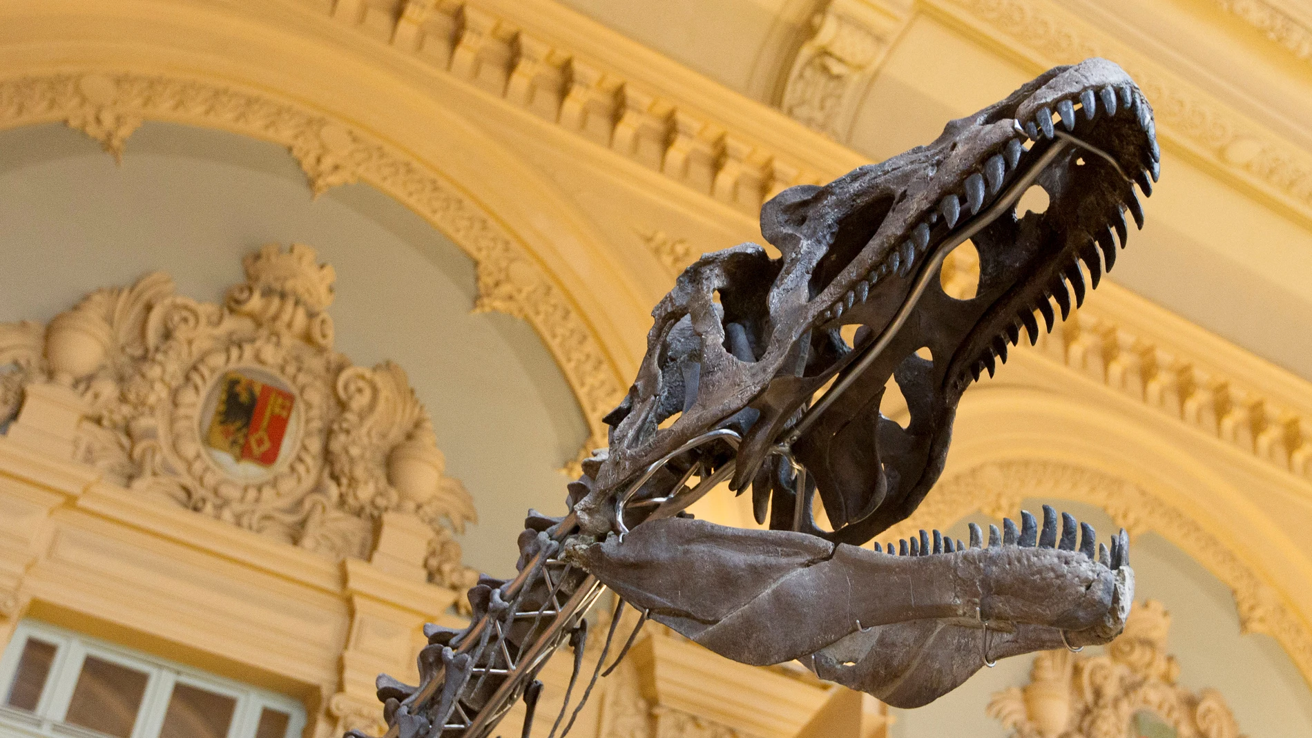 El esqueleto del dinosaurio que sale a subasta El esqueleto del dinosaurio que sale a subasta