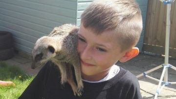 Draven Jefferies con una suricata