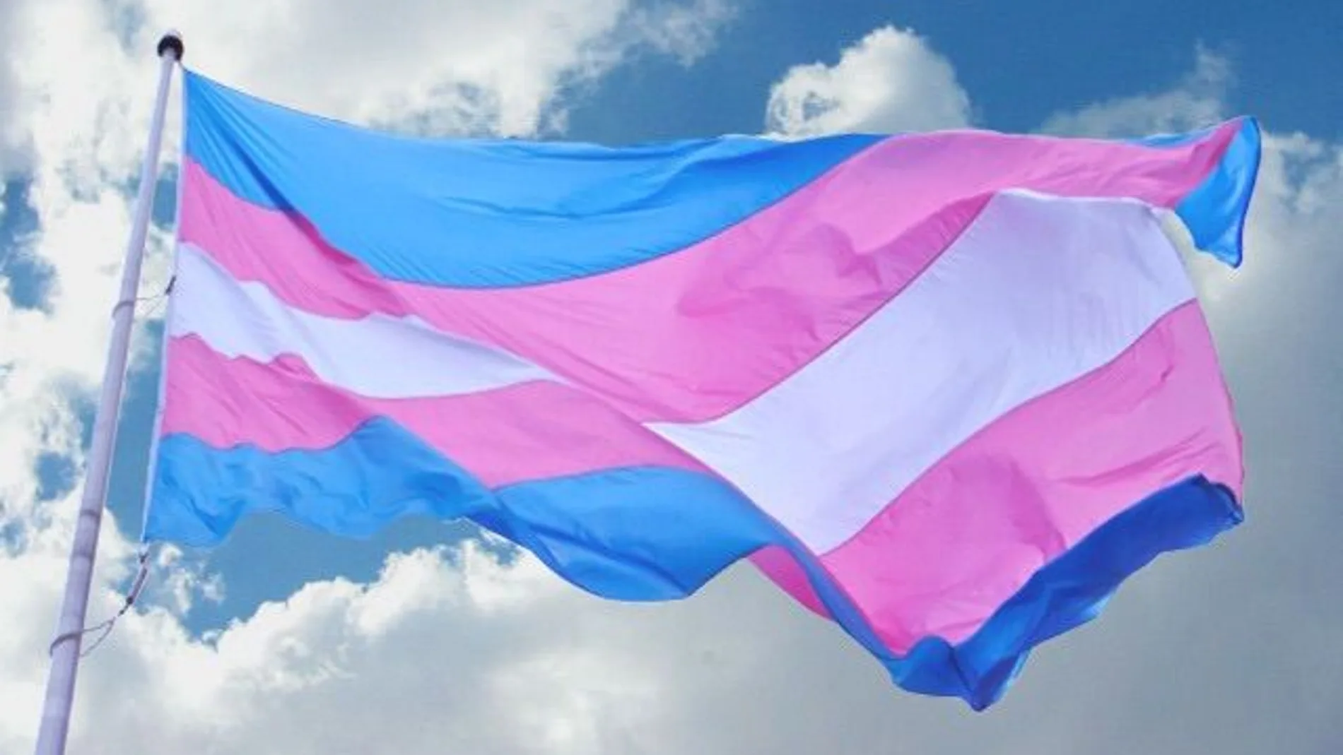 La bandera de las personas transexuales La bandera de las personas transexuales