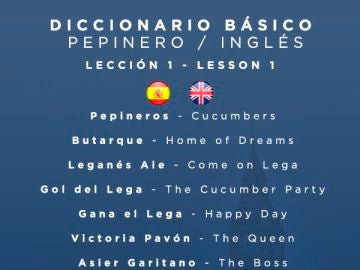 Diccionario básico pepinero - inglés