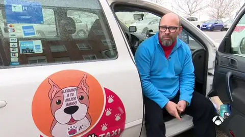 TAXISMASCOTAS TAXISMASCOTAS