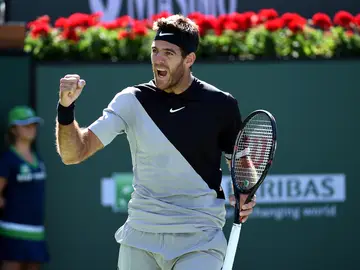 Juan Martín del Potro celebra la victoria Juan Martín del Potro celebra la victoria