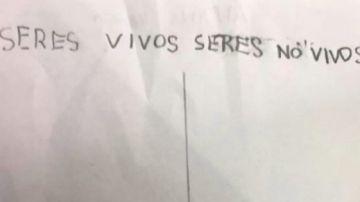 Seres vivos