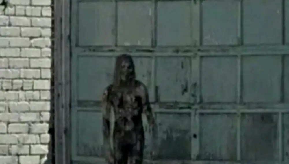 El desnudo de 'The Walking Dead'