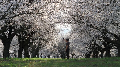 ¿Qué tiempo hará esta primavera? La Aemet da las primeras pistas...