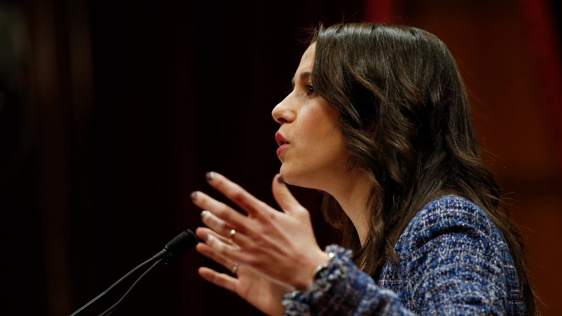 La líder de Ciudadanos en Cataluña, Inés Arrimadas La líder de Ciudadanos en Cataluña, Inés Arrimadas