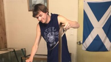 Una pitón ataca a un adolescente mientras está en el inodoro de su casa en Australia