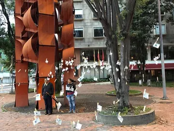 'Árbol de billetes' en Medellín 'Árbol de billetes' en Medellín