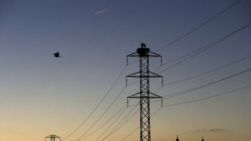España tendrá mañana por sexta vez el precio eléctrico mayorista más bajo en la UE