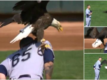 Un águila se posa sobre un jugador de béisbol