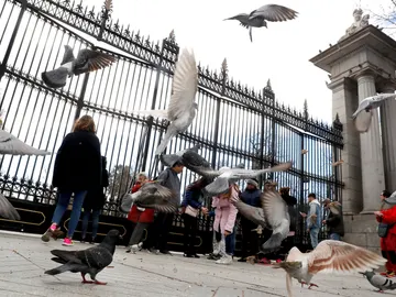 Un grupo de turistas se encuentra con las puertas cerradas del madrileño parque del Retiro. Un grupo de turistas se encuentra con las puertas cerradas del madrileño parque del Retiro.