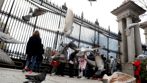 Un grupo de turistas se encuentra con las puertas cerradas del madrileño parque del Retiro. Un grupo de turistas se encuentra con las puertas cerradas del madrileño parque del Retiro.