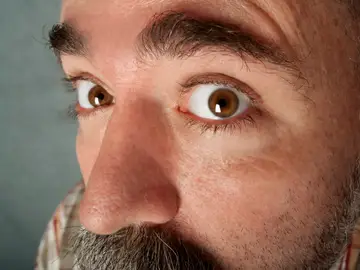 Cejas de un hombre adulto Cejas de un hombre adulto