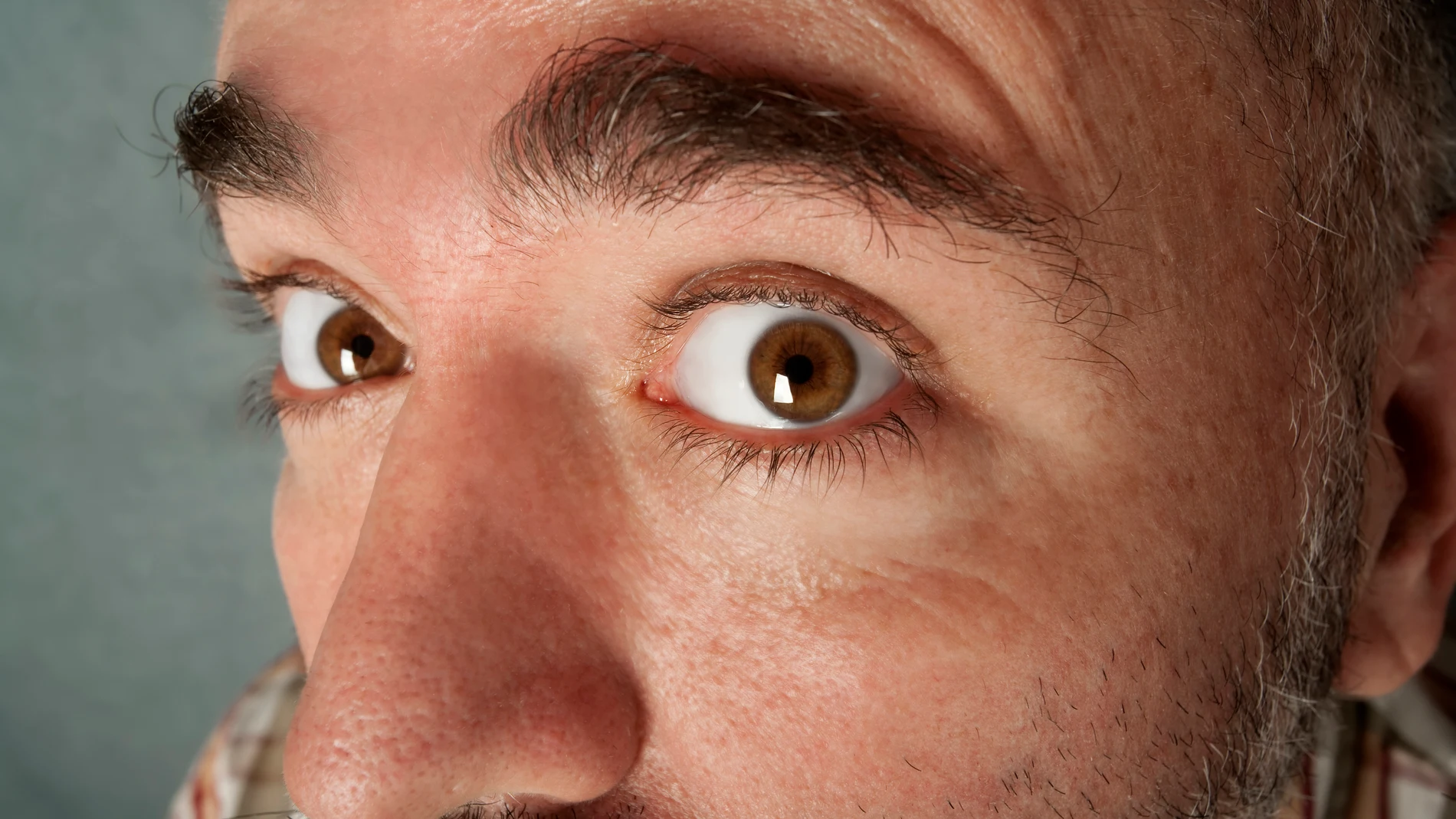 Cejas de un hombre adulto Cejas de un hombre adulto