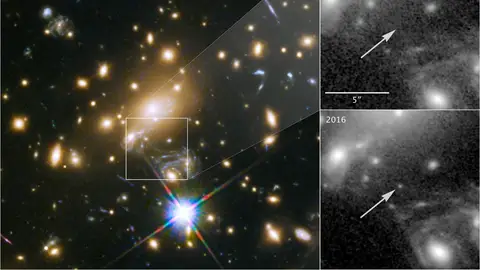 Estrella Icarus Estrella Icarus