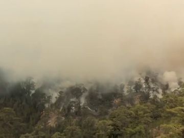 Efectivos del Cabildo y de la UME reanudan las labores de extinción del incendio que afecta al sur de Tenerife