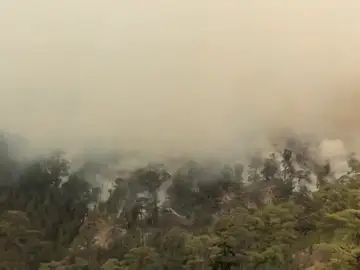 Efectivos del Cabildo y de la UME reanudan las labores de extinción del incendio que afecta al sur de Tenerife Efectivos del Cabildo y de la UME reanudan las labores de extinción del incendio que afecta al sur de Tenerife