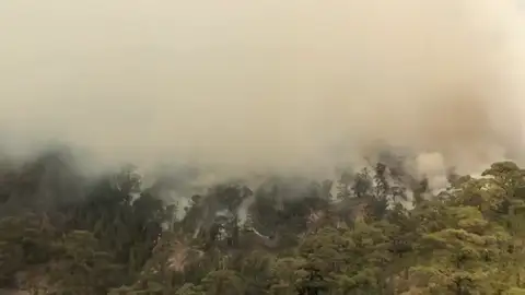Efectivos del Cabildo y de la UME reanudan las labores de extinción del incendio que afecta al sur de Tenerife Efectivos del Cabildo y de la UME reanudan las labores de extinción del incendio que afecta al sur de Tenerife