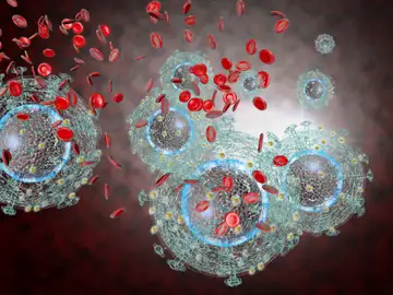 Nuevo agente antirretroviral frente al VIH Nuevo agente antirretroviral frente al VIH