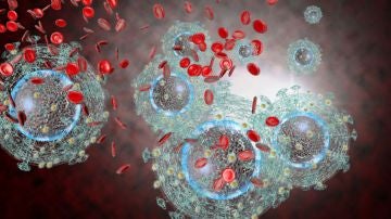 Nuevo agente antirretroviral frente al VIH