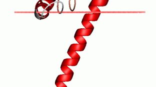 Estructura proteica de una peque&ntilde;a proteina (stannin) 