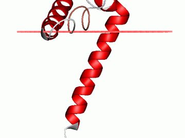 Estructura proteica de una pequeña proteina (stannin) 