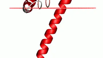 Estructura proteica de una pequeña proteina (stannin)  Estructura proteica de una pequeña proteina (stannin)