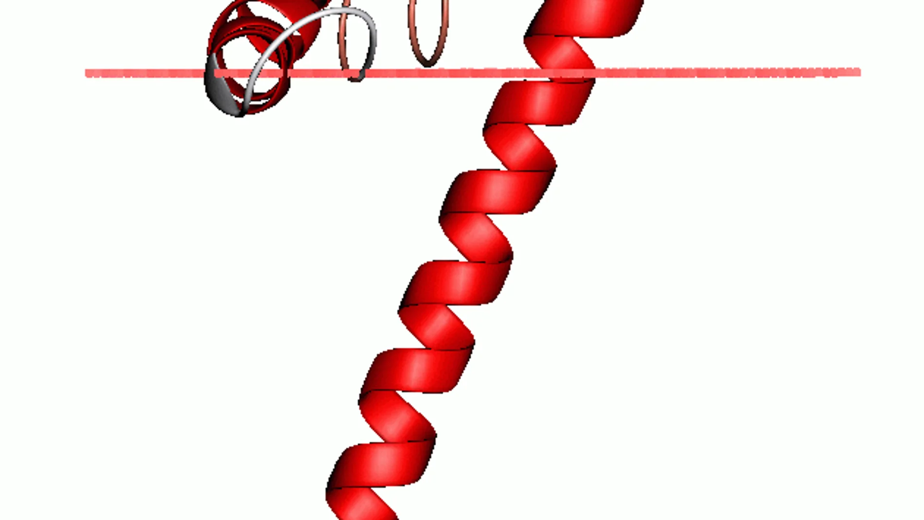 Estructura proteica de una pequeña proteina (stannin) Estructura proteica de una pequeña proteina (stannin)