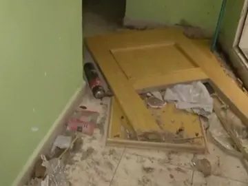 vecinos denuncian la convivencia con una plaga de cucarachas vecinos denuncian la convivencia con una plaga de cucarachas