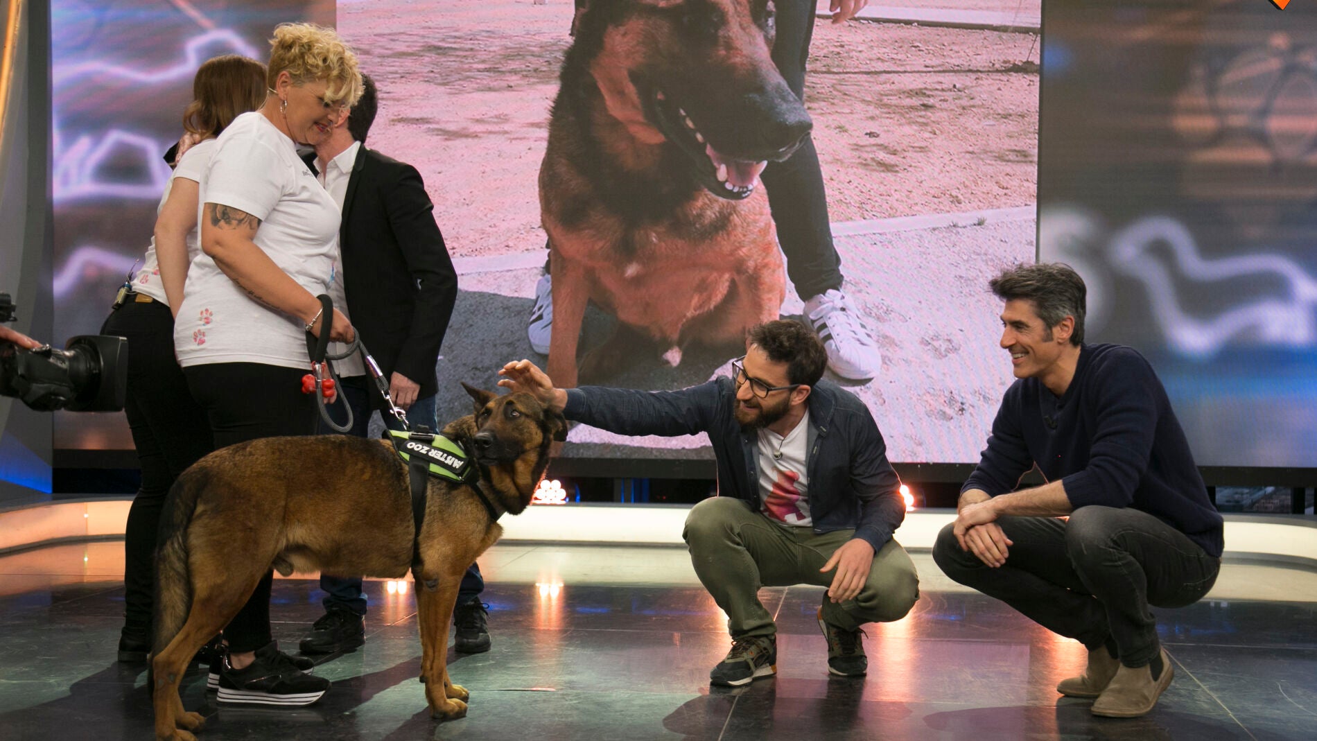 &iquest;Te gustar&iacute;a adoptar a Jack?