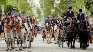 Caballos en la Feria de Abril. Caballos en la Feria de Abril
