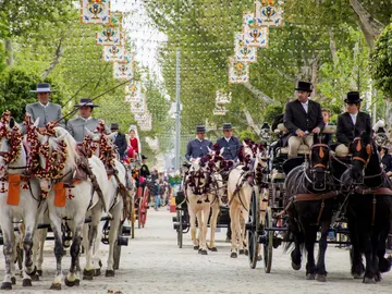 Caballos en la Feria de Abril. Caballos en la Feria de Abril.