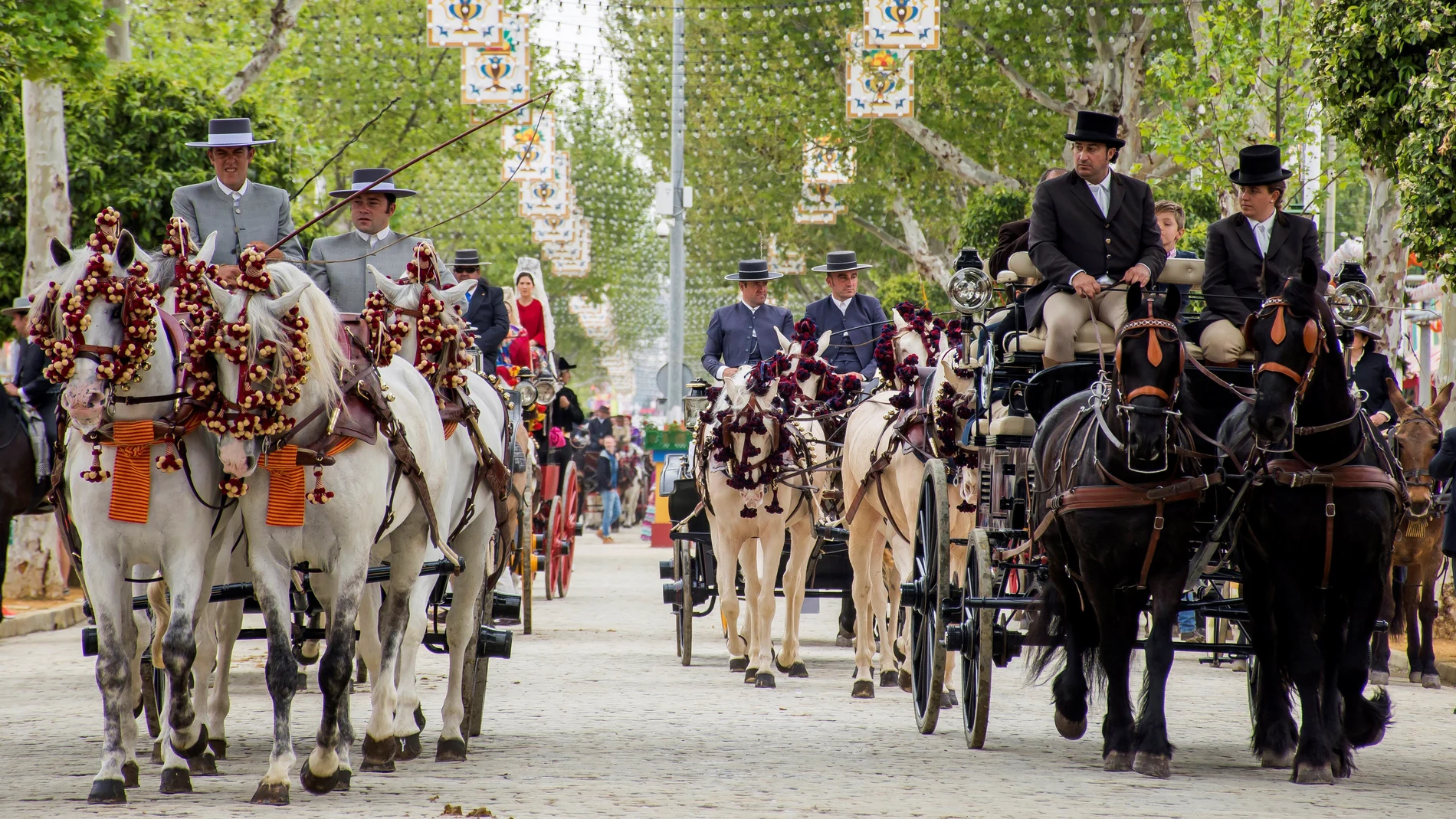 Caballos en la Feria de Abril. Caballos en la Feria de Abril.