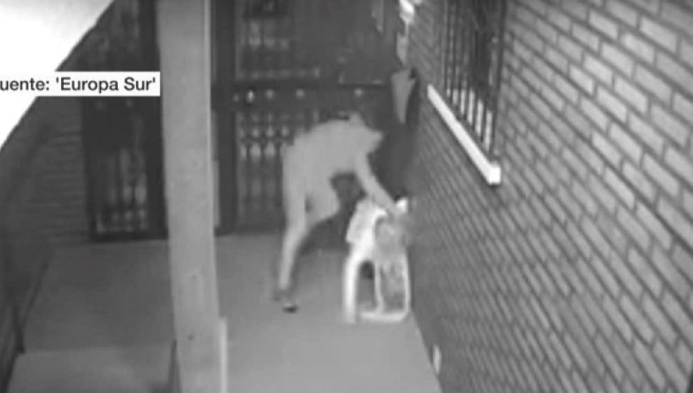 Brutal agresión de un atracador en Algeciras