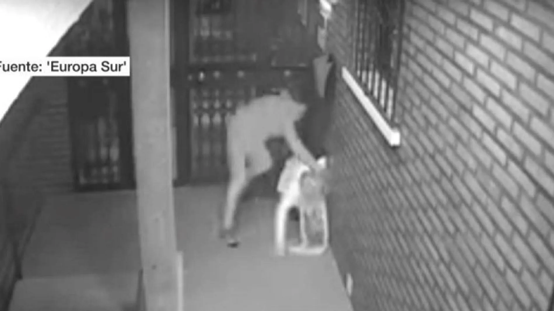 Brutal agresión de un atracador en Algeciras Brutal agresión de un atracador en Algeciras