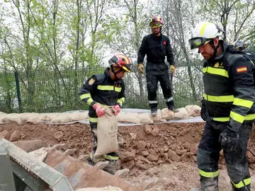 Militares de la UME refuerzan una mota en Pina de Ebro Militares de la UME refuerzan una mota en Pina de Ebro