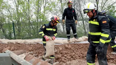 Militares de la UME refuerzan una mota en Pina de Ebro Militares de la UME refuerzan una mota en Pina de Ebro