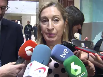 La presidenta del Congreso, Ana Pastor La presidenta del Congreso, Ana Pastor