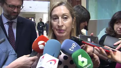 La presidenta del Congreso, Ana Pastor La presidenta del Congreso, Ana Pastor