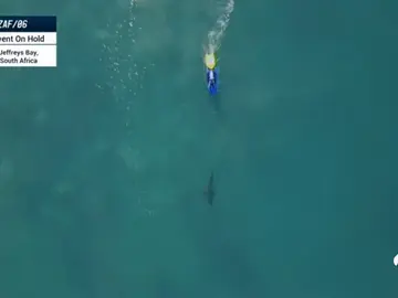Suspenden la Liga Mundial de Surf en Australia por ataques de tiburones Suspenden la Liga Mundial de Surf en Australia por ataques de tiburones