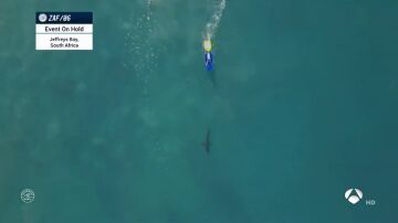 Suspenden la Liga Mundial de Surf en Australia por ataques de tiburones