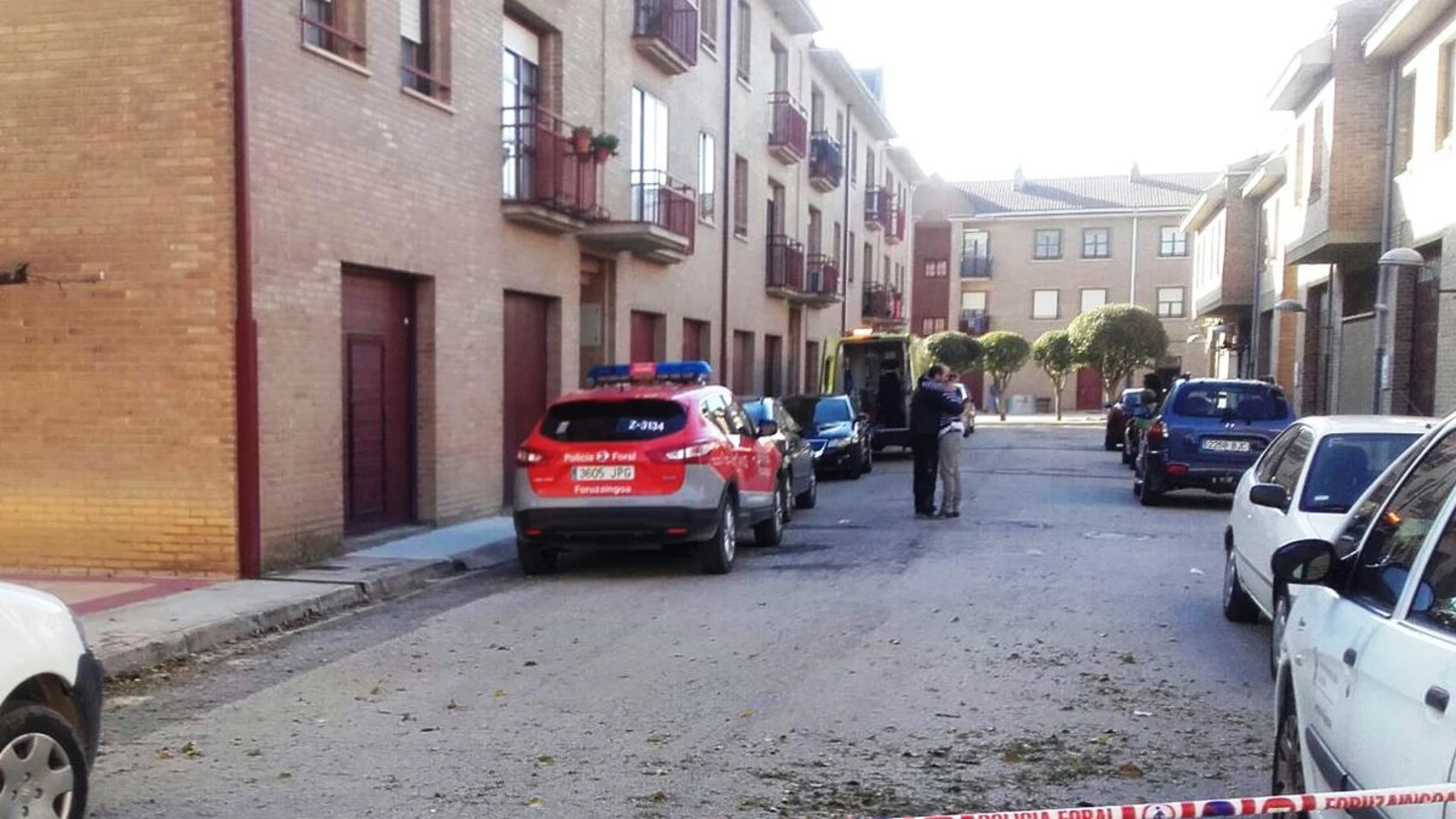 La Policía Foral en el lugar del presunto homicidio La Policía Foral en el lugar del presunto homicidio
