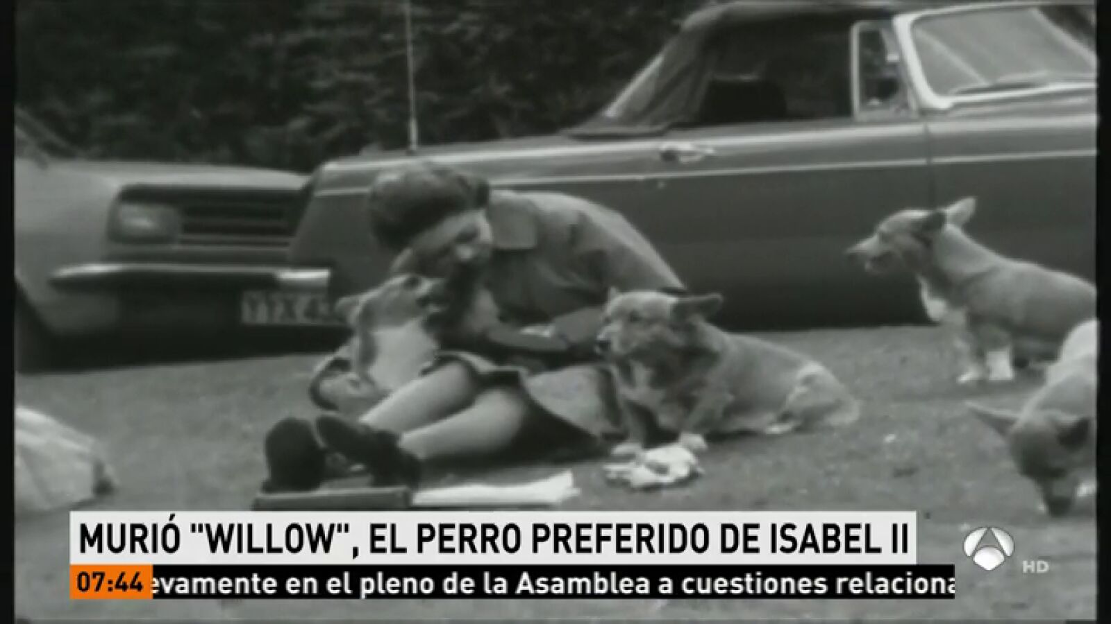 Muere 'Willow' el último perro corgi de la reina Isabel II