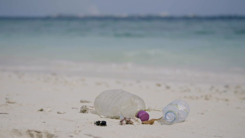 Plásticos en la playa 