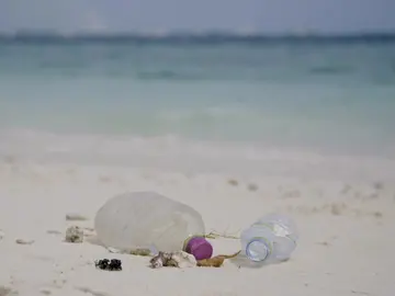 Plásticos en la playa Plásticos en la playa