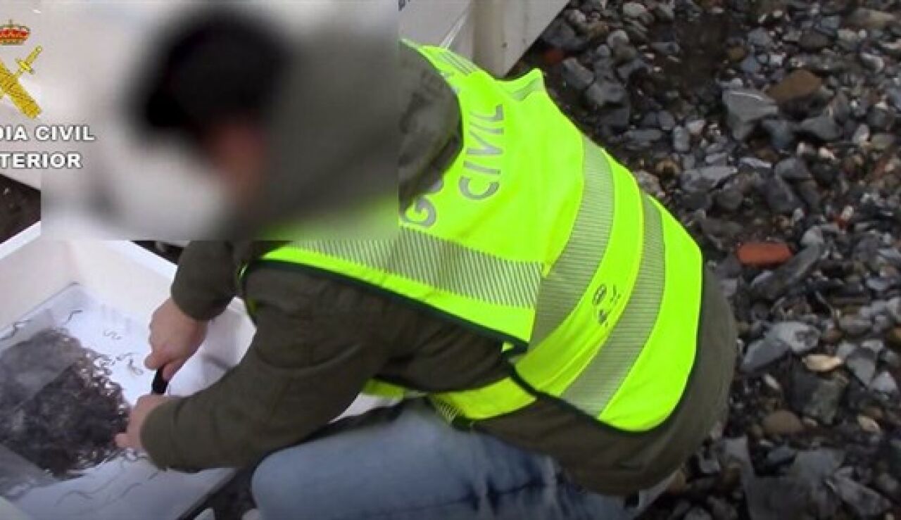 Guardia civil interceptando angulas