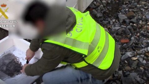 Guardia civil interceptando angulas