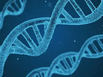 La edición genética, ¿el futuro para curar enfermedades? La edición genética, ¿el futuro para curar enfermedades?