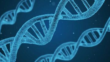 La edición genética, ¿el futuro para curar enfermedades?