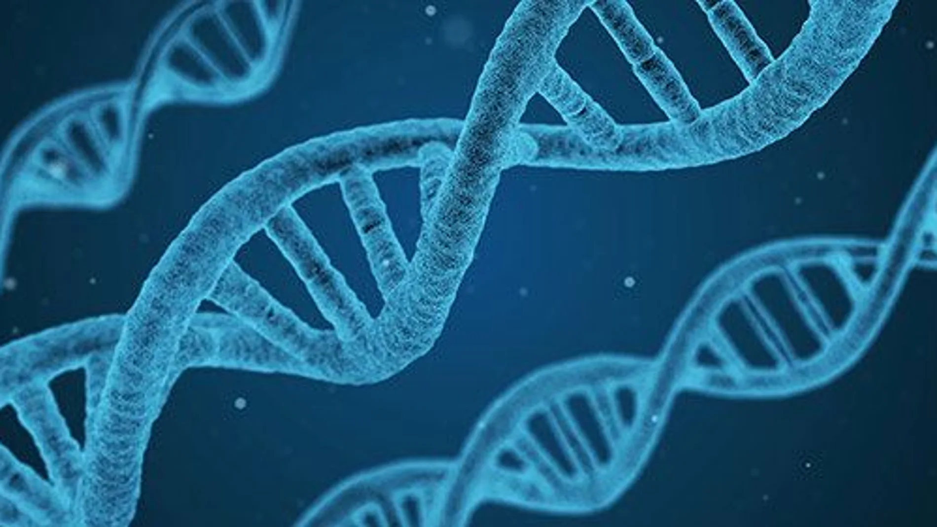 La edición genética, ¿el futuro para curar enfermedades? La edición genética, ¿el futuro para curar enfermedades?
